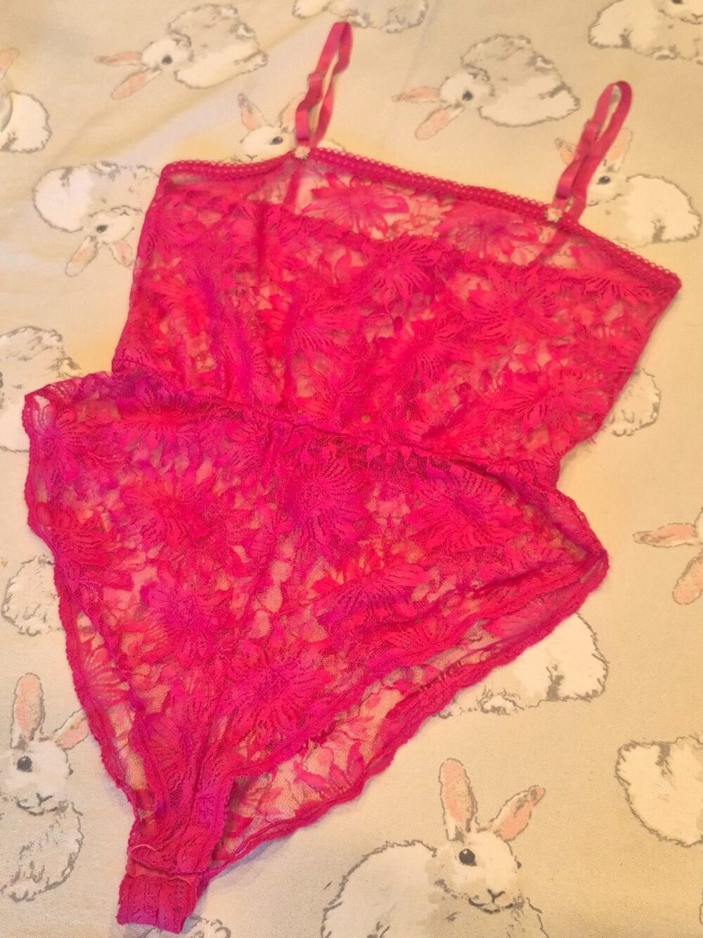 Victoria's Secret Vintage Teddy